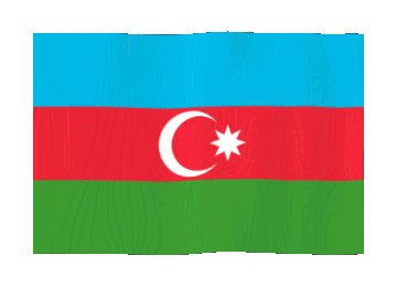 77c21d31
