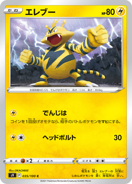 72502954