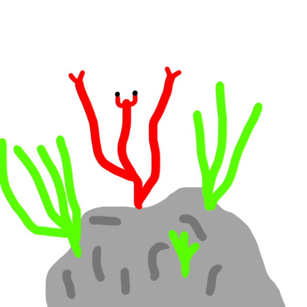 ガチャ画像
