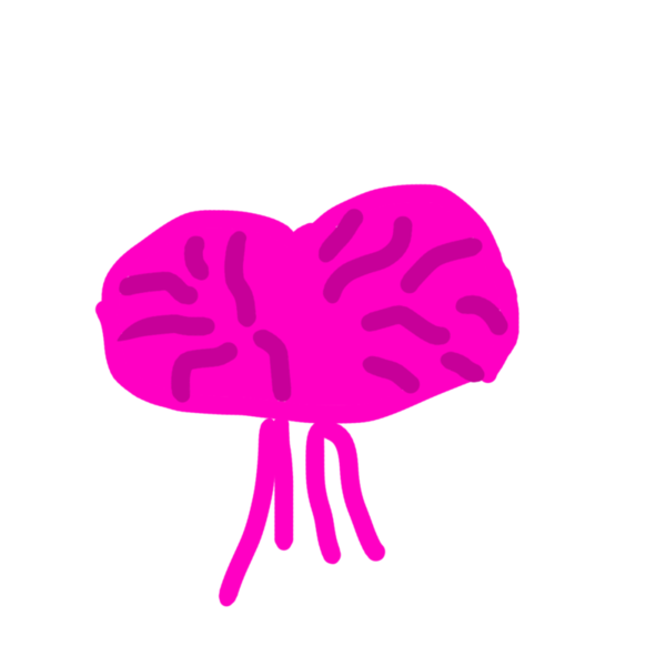 ガチャ画像