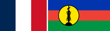 229d888a