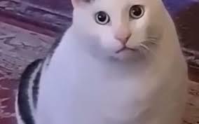 3d621ee0