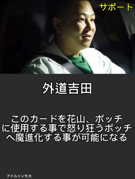 40903081