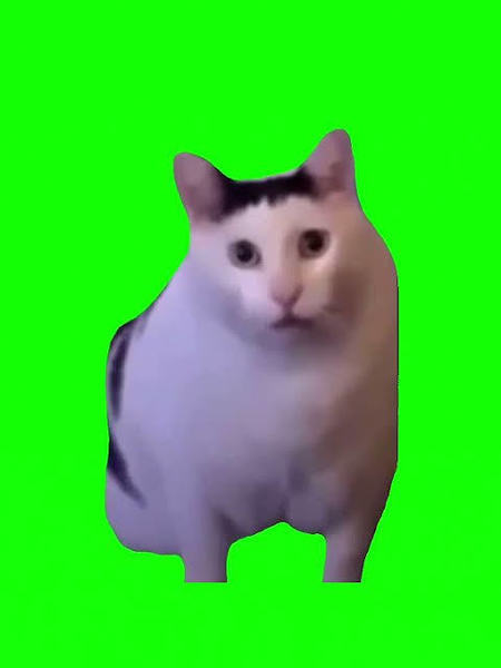 D23e5f05