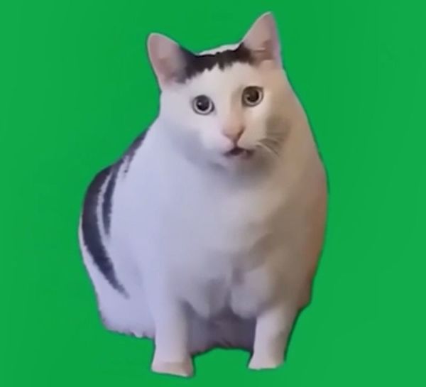 7f1dfbb9