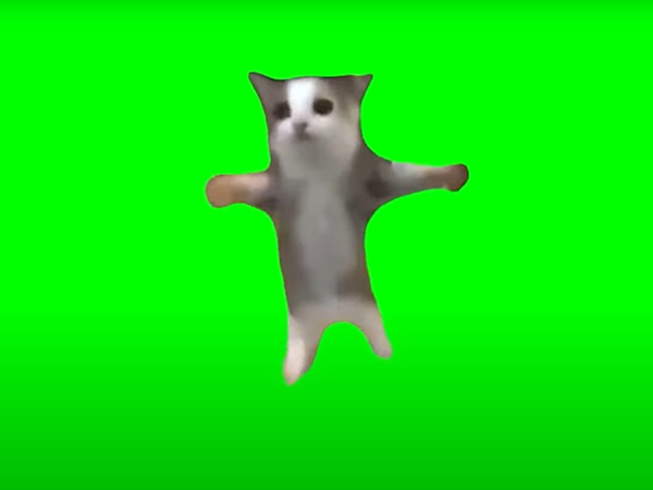 73b2fdd7