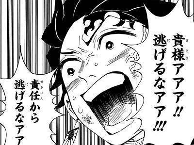 35243288