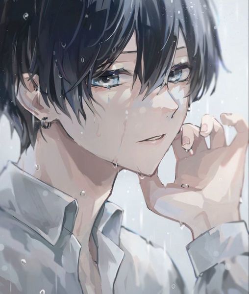 Bd2e6d37