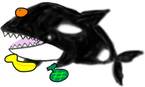 E0bd7241