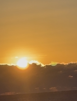 1e658f56