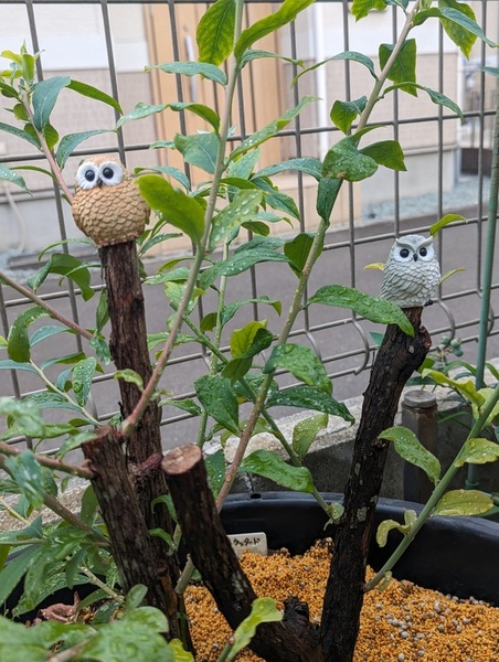 ガチャ画像