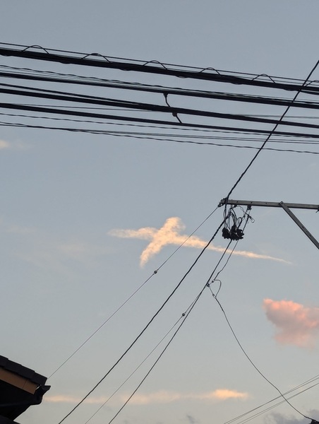 ガチャ画像