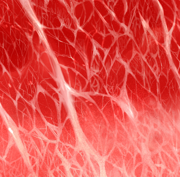 ガチャ画像