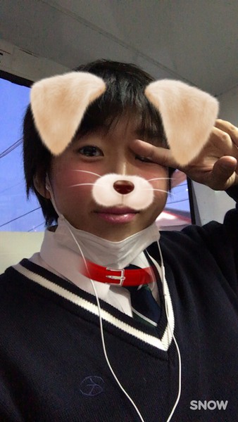 ガチャ画像