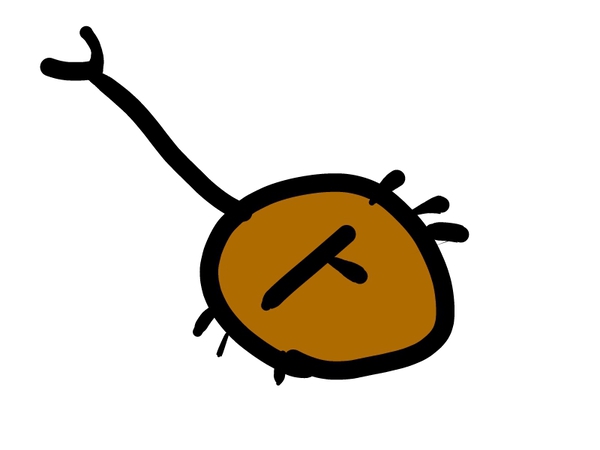40ee3b71