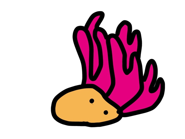 2feedb21