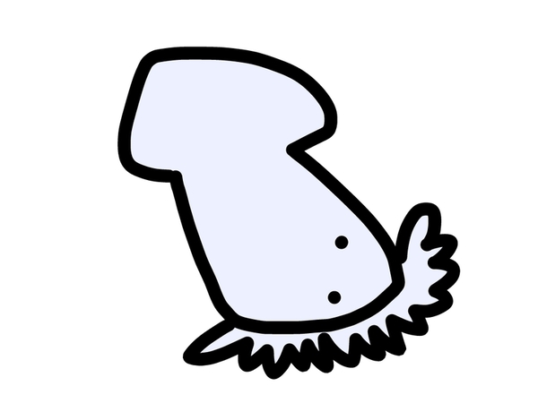 512da707