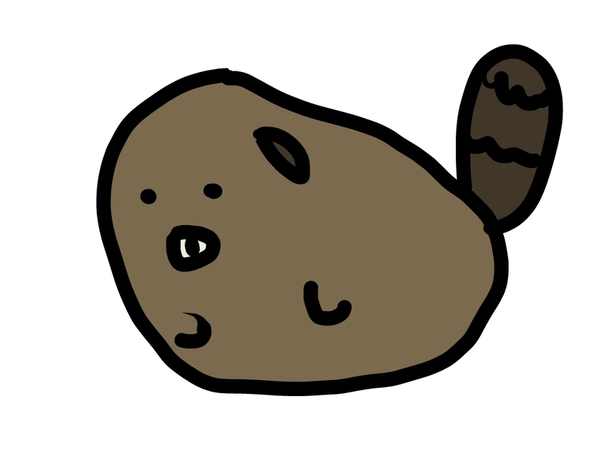 213b07b8