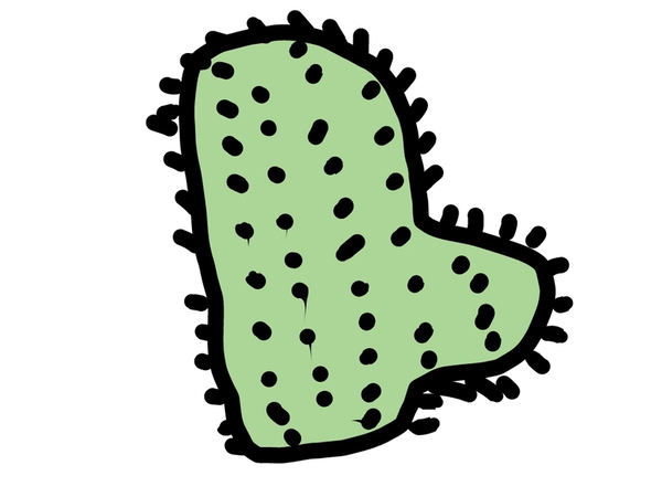 C8df54b6