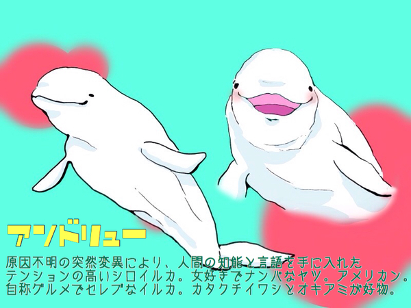 D4b3387b