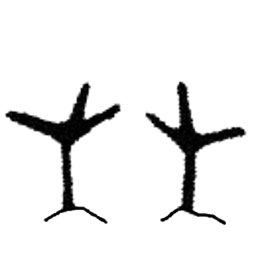 Dd662d51
