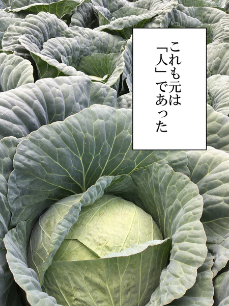 8b6e929e