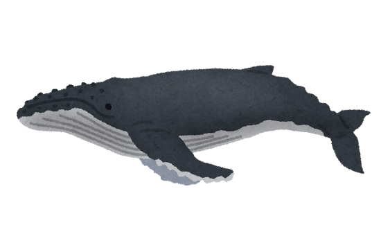 Ca0d62b1