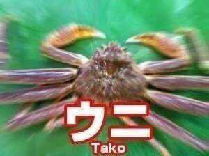 9a92d5f7