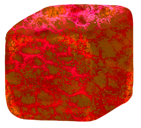 E8641802