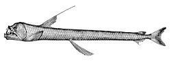 023ea6d1