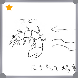 Cd00cce6