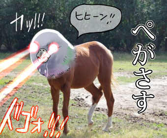 3e29e557