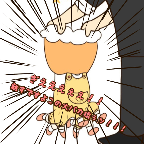ガチャ画像