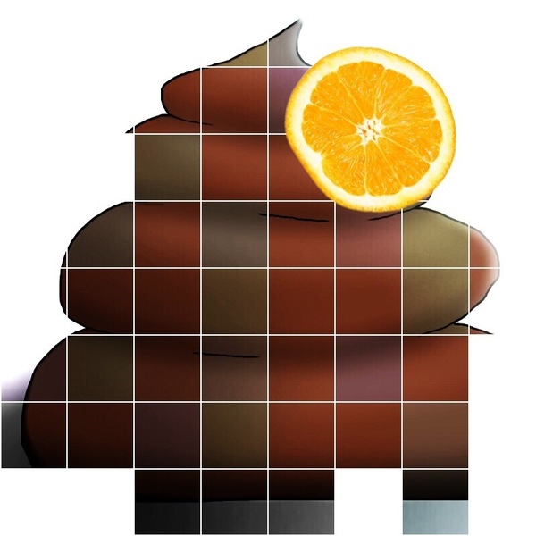 E5095b0b
