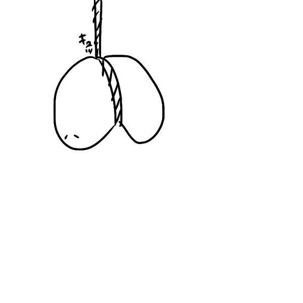 002f85a8