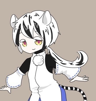 C8713268