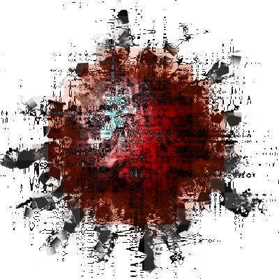 C7064356
