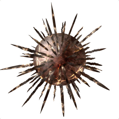 D1f619a1