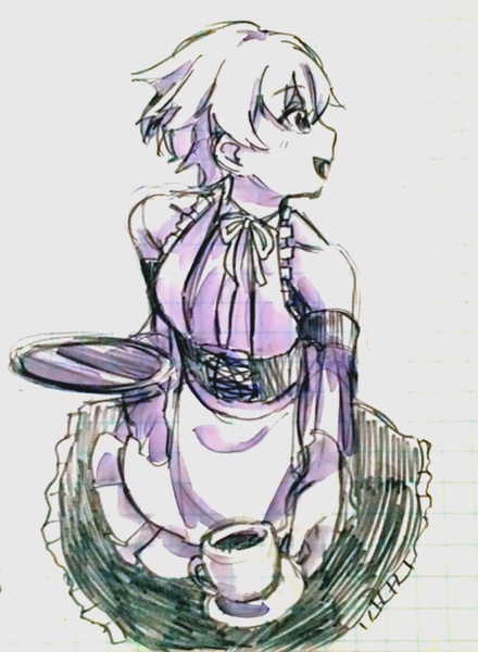 49902228