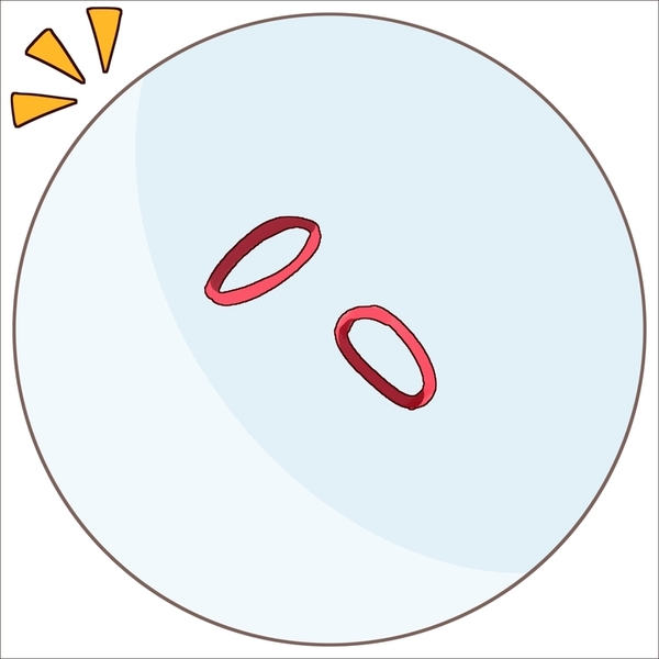 3123e79c