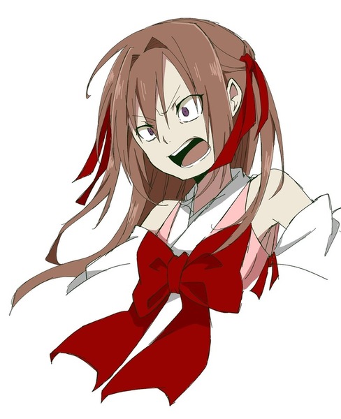 10732651