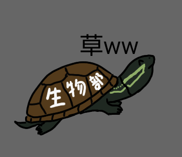 28aa7977