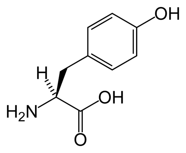 0850106c