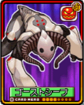 80617440