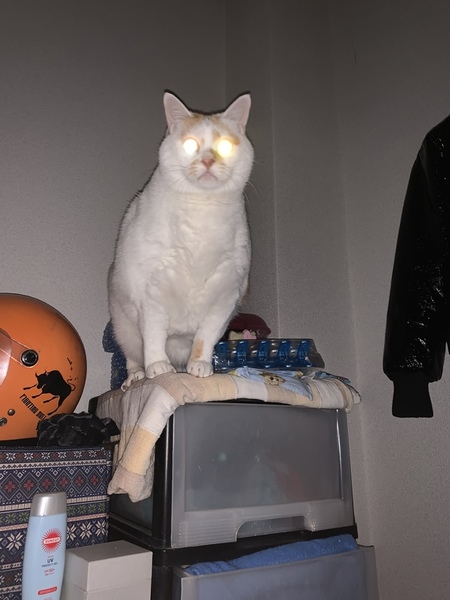 B05d68d4