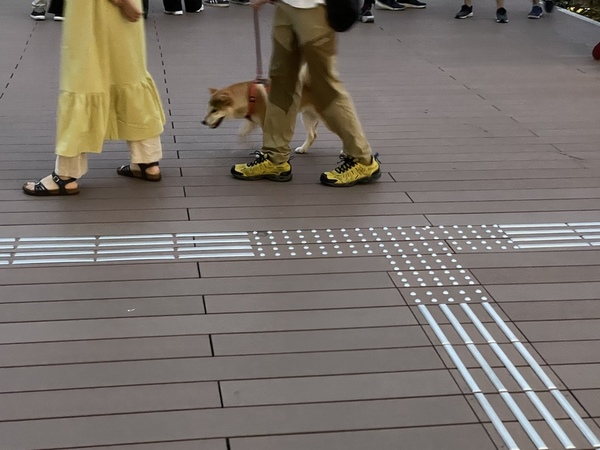 ガチャ画像