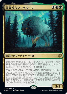 A49511e7