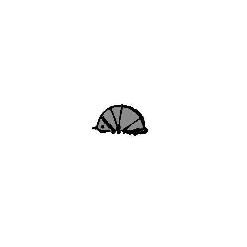 8a0fe224