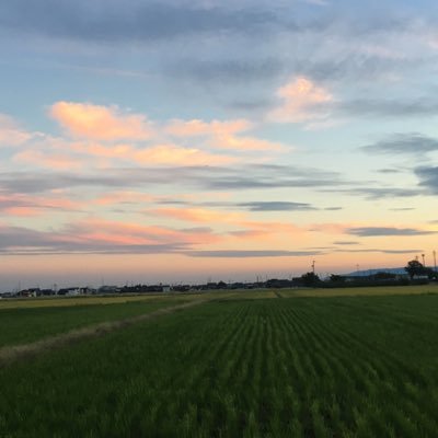 F3838fad