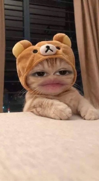 ガチャ画像